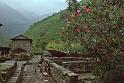 WT 1000 190-21 Nepal